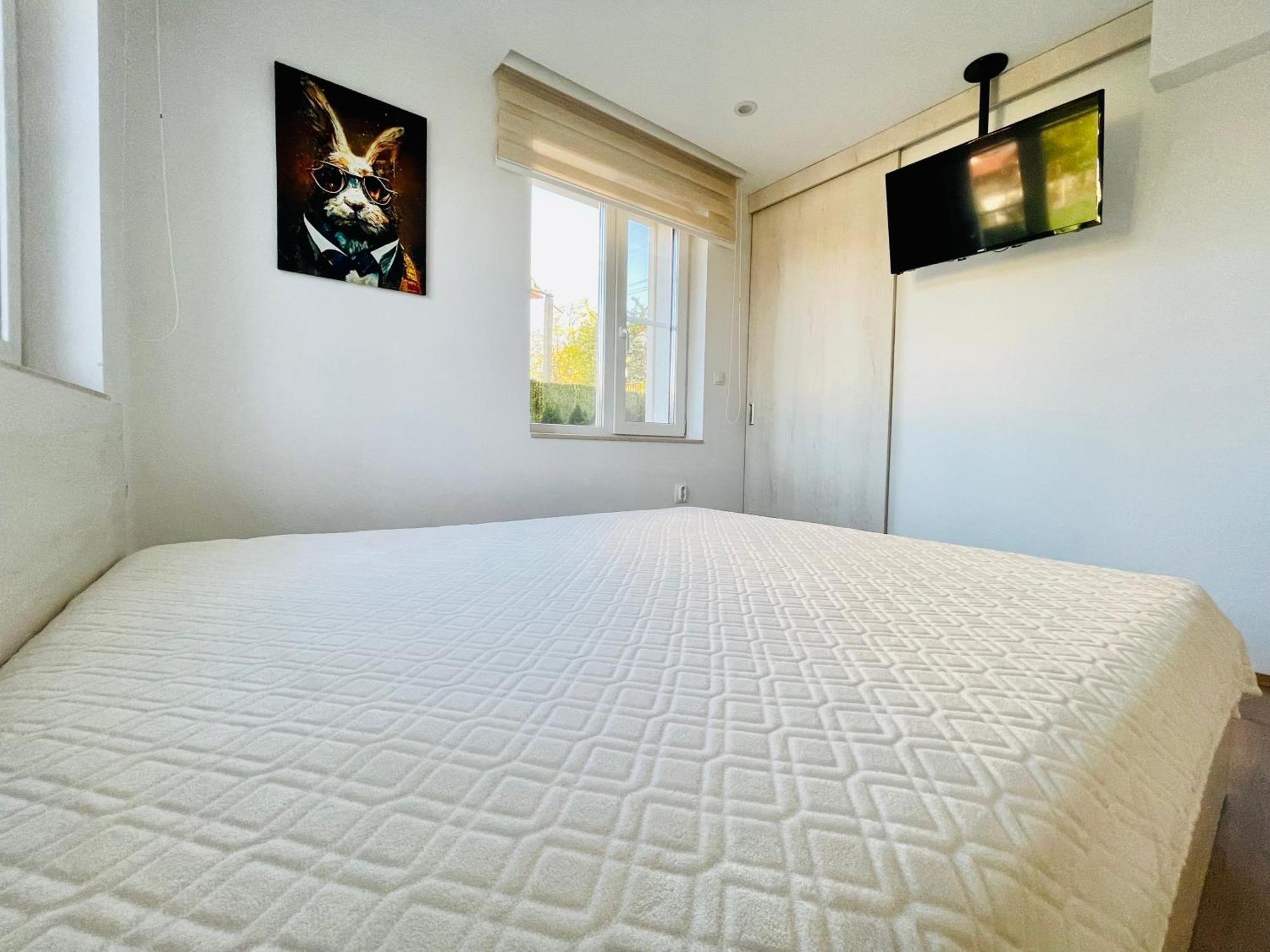 Forest Oasis Guest House Free Parking Sapareva Banya Extérieur photo
